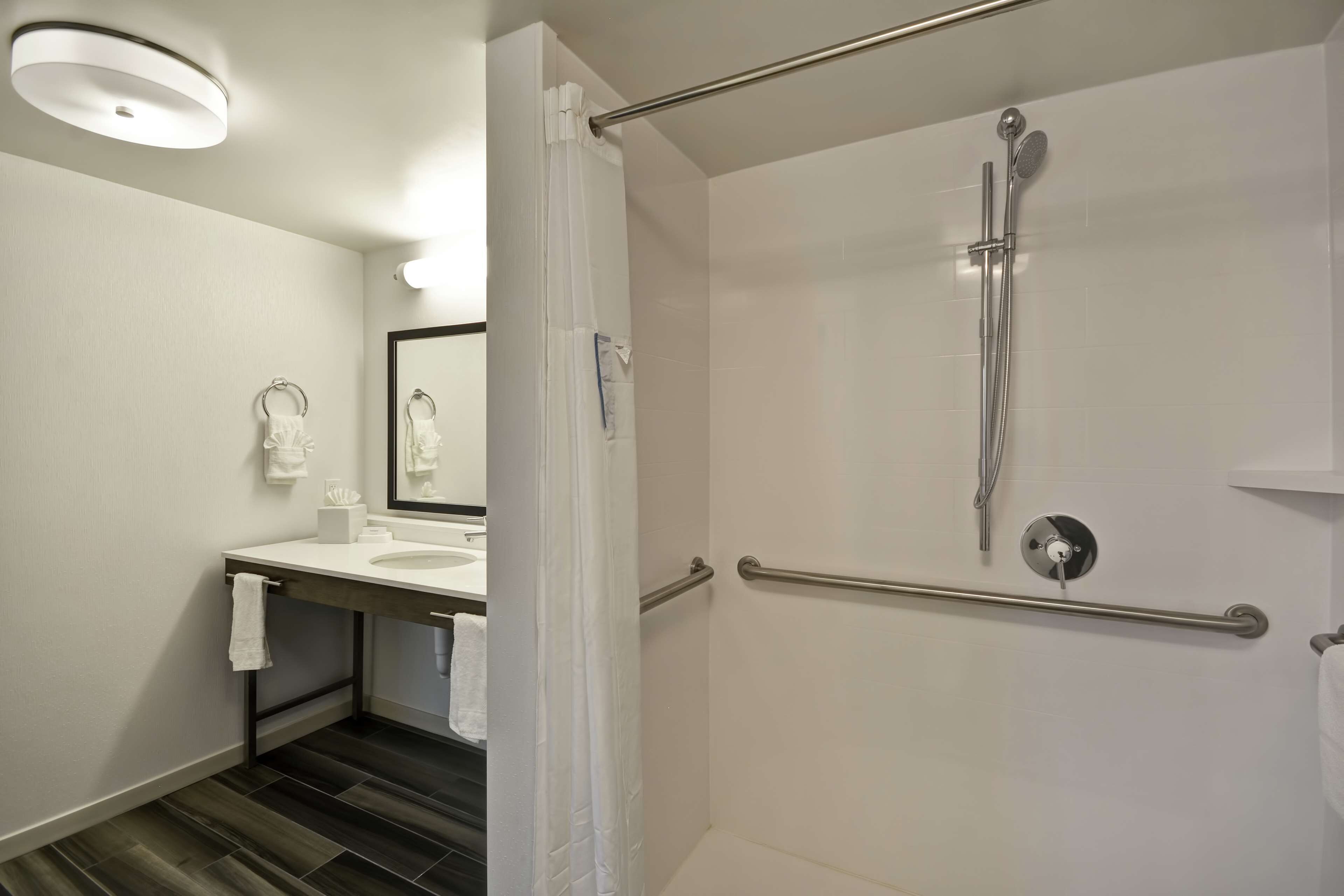 studio, 1 king bed, accessible (roll-in shower, mobility & hearing) | bathroom shower