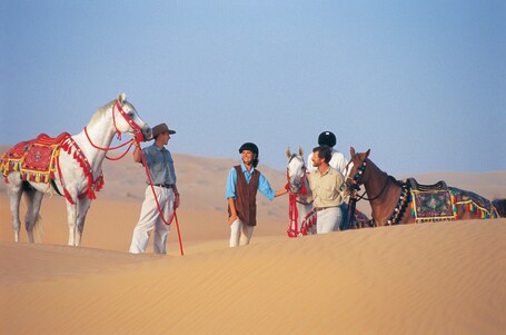 Al Maha, A Luxury Collection Desert Resort Spa, Dubai - Image 84