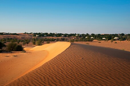 Al Maha, A Luxury Collection Desert Resort Spa, Dubai - Image 119