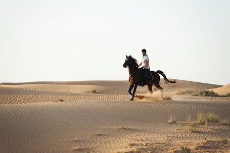 Al Maha, A Luxury Collection Desert Resort Spa, Dubai - Image 79