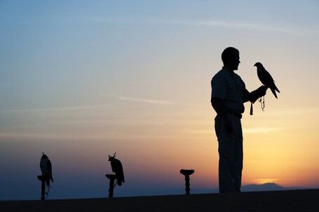 Al Maha, A Luxury Collection Desert Resort Spa, Dubai - Image 77