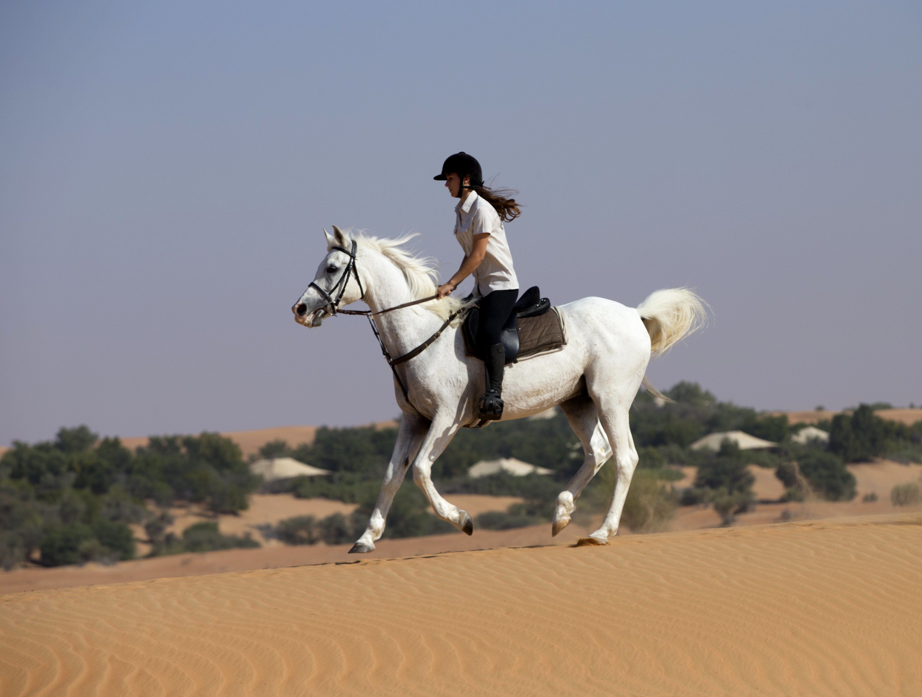 Eine Person reitet auf einem weißen Pferd durch eine sandige Landschaft, im Hintergrund spärliche Vegetation.