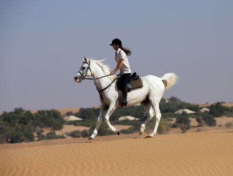 Al Maha, A Luxury Collection Desert Resort Spa, Dubai - Image 12