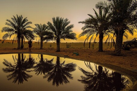 Al Maha, A Luxury Collection Desert Resort Spa, Dubai - Image 97