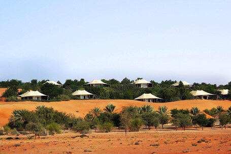 Al Maha, A Luxury Collection Desert Resort Spa, Dubai - Image 75