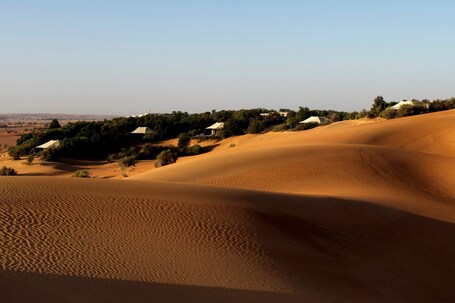 Al Maha, A Luxury Collection Desert Resort Spa, Dubai - Image 22