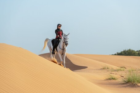 Al Maha, A Luxury Collection Desert Resort Spa, Dubai - Image 78