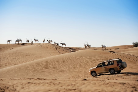 Al Maha, A Luxury Collection Desert Resort Spa, Dubai - Image 82