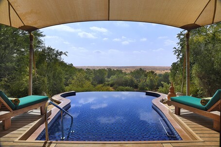 Al Maha, A Luxury Collection Desert Resort Spa, Dubai - Image 85