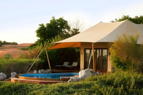Al Maha, A Luxury Collection Desert Resort Spa, Dubai - Image 115