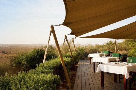Al Maha, A Luxury Collection Desert Resort Spa, Dubai - Image 108