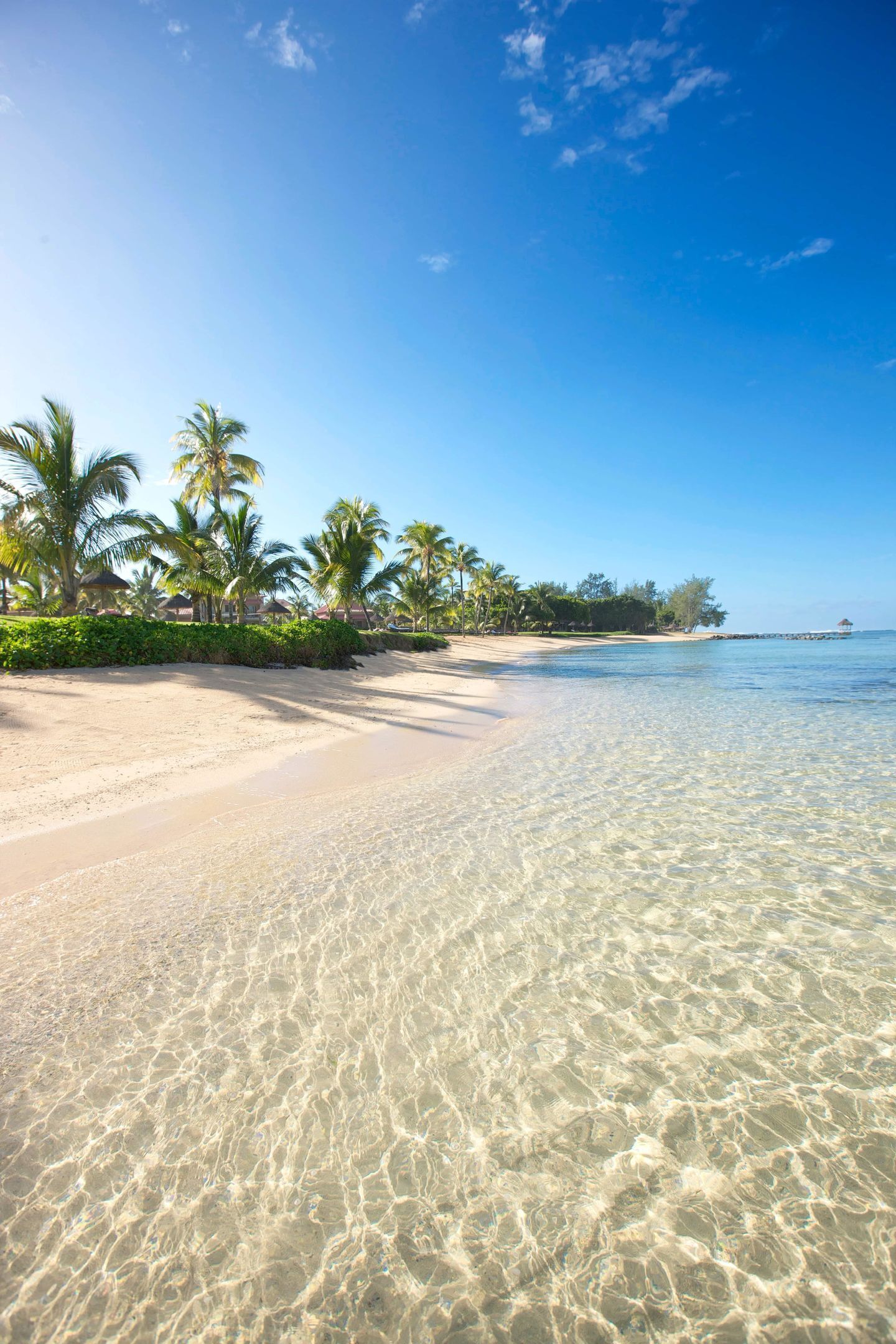 Una playa con aguas transparentes y poco profundas, palmeras y una estructura distante.