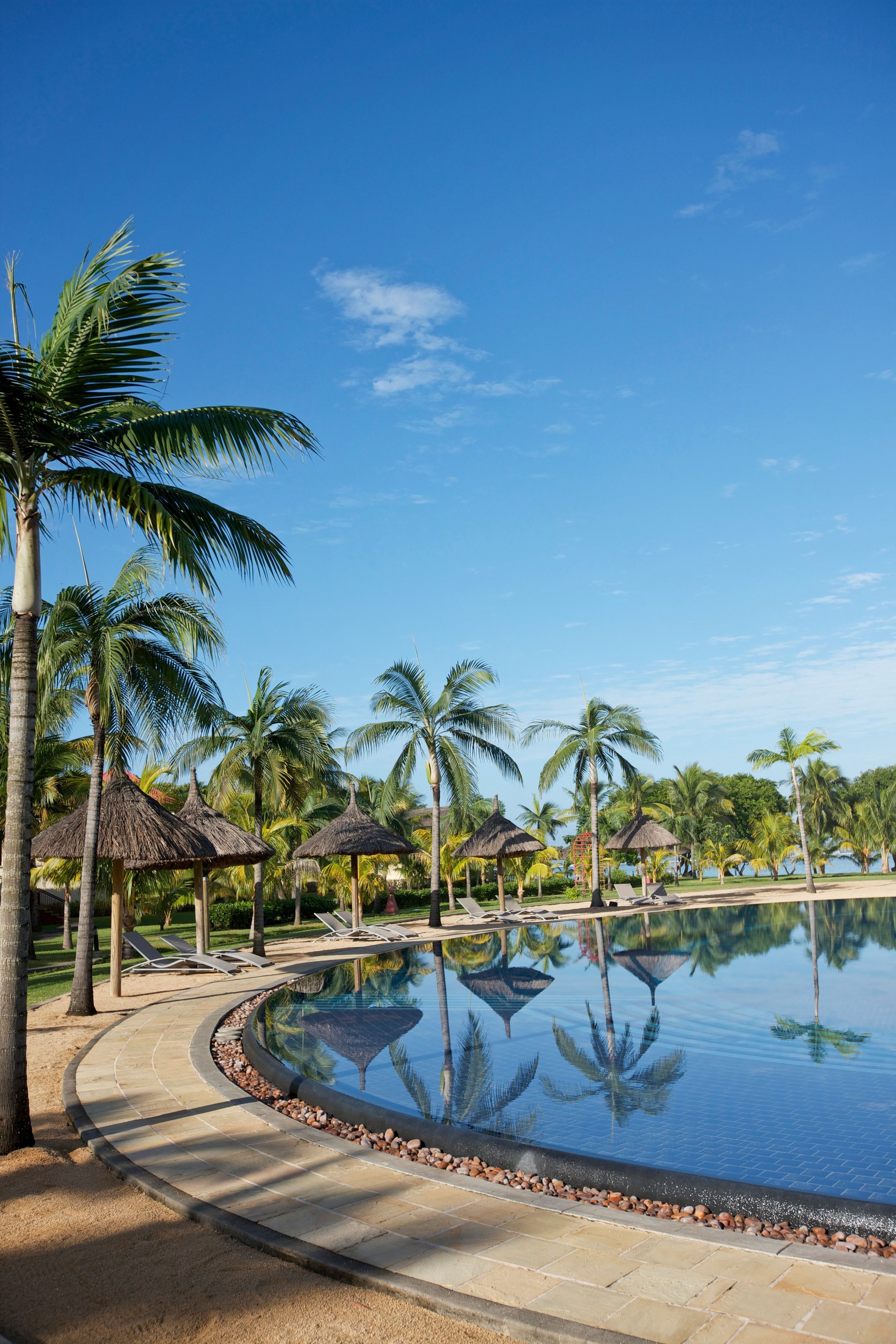 A pool surrounded by palm trees and lounge chairs, with a clear blue sky above.
