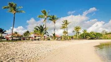 Una playa con palmeras y edificios de techos rojos.