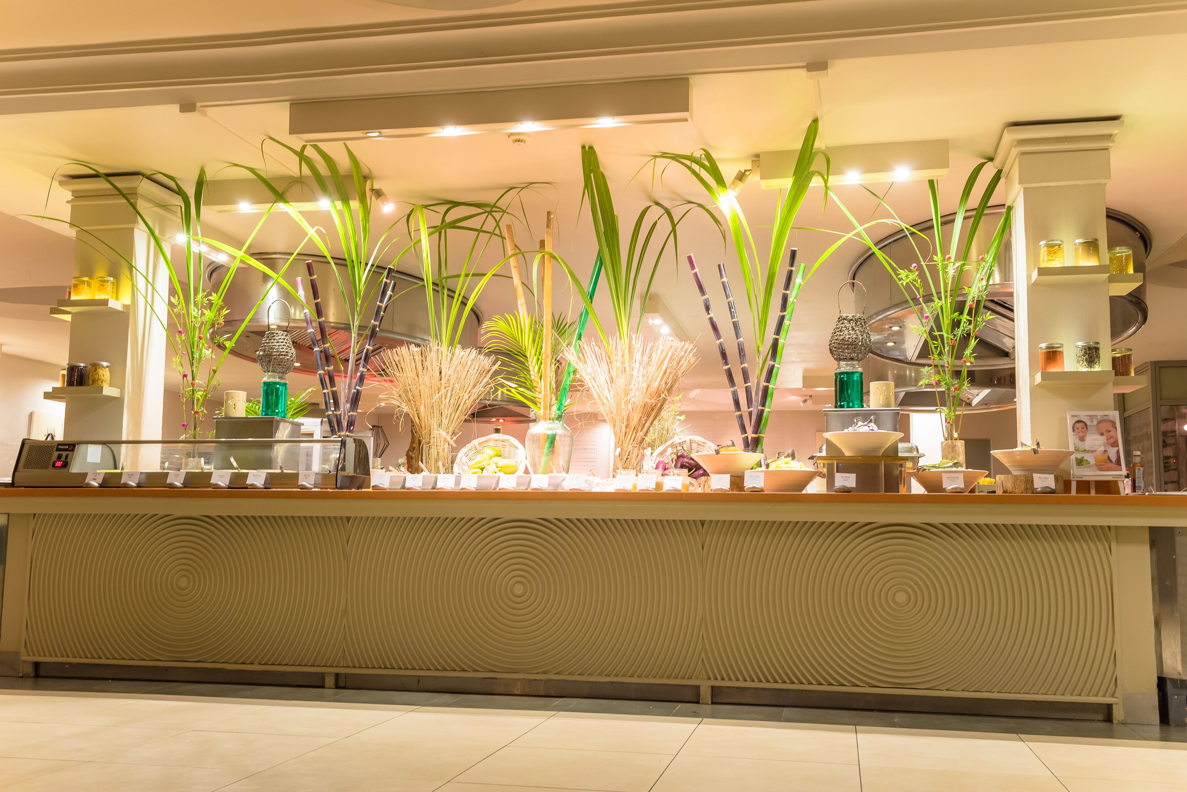 A reception area with a counter, potted plants, and shelves with jars.