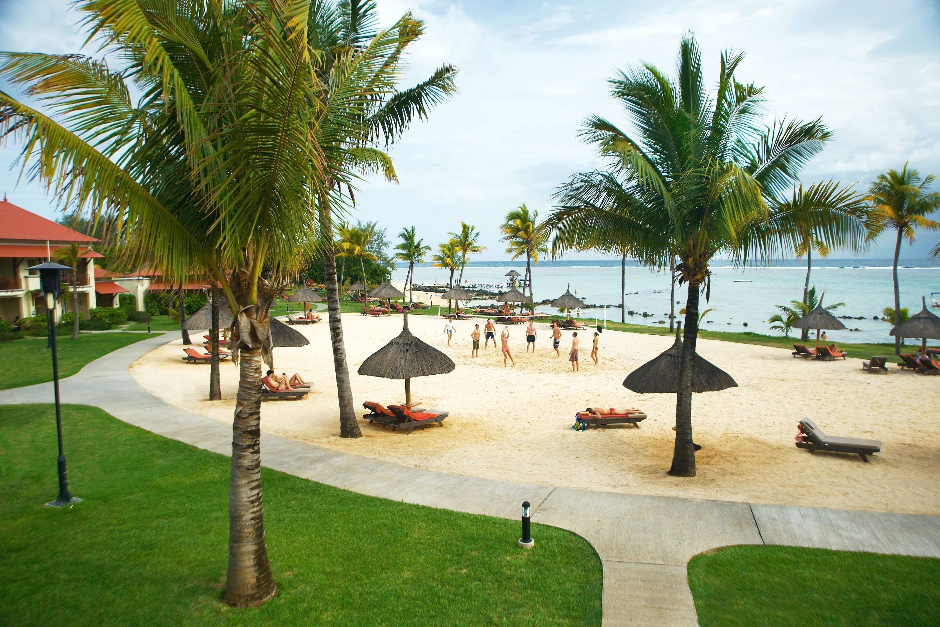A beach resort with palm trees, sun loungers, and a view of the ocean.