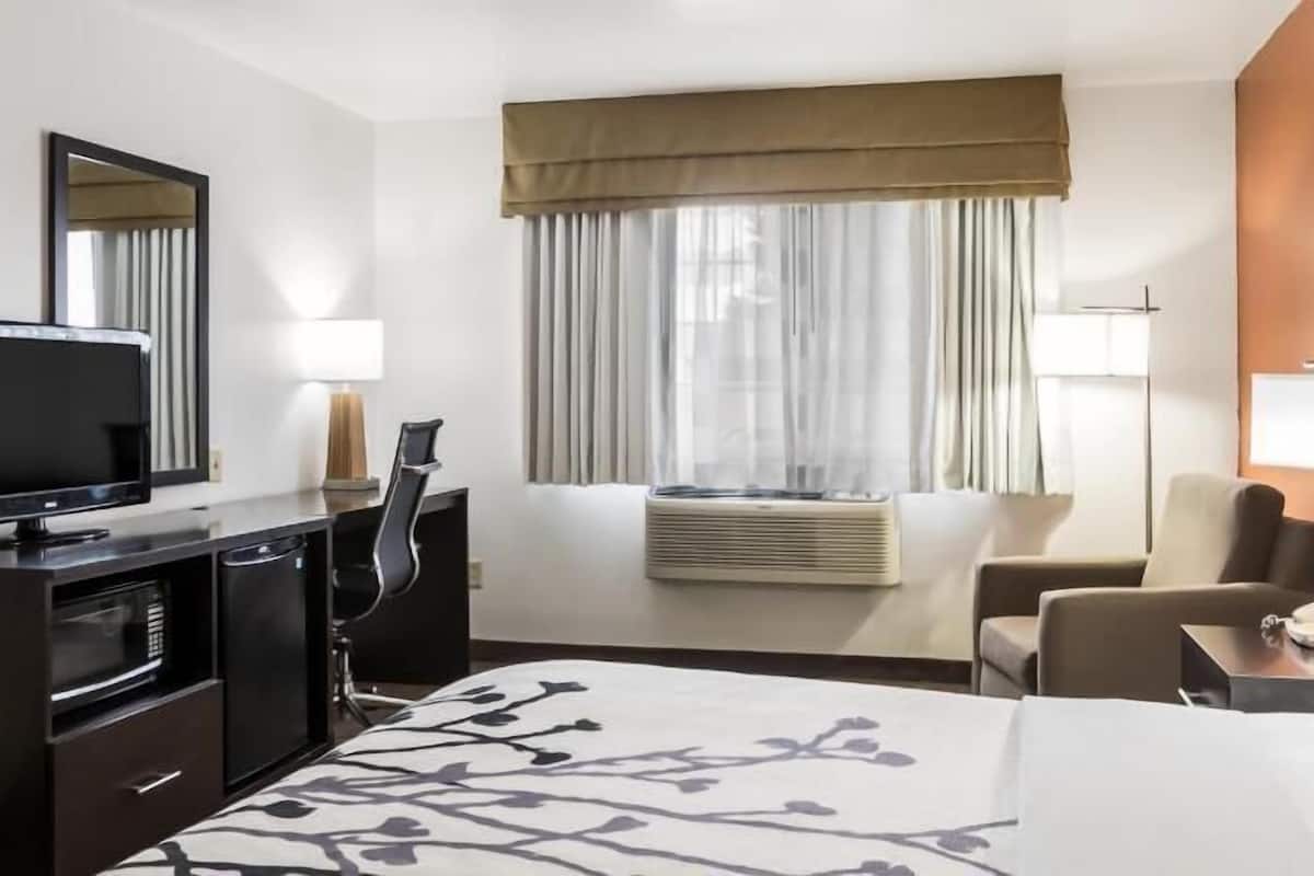 In-room safe, desk, iron/ironing board, free WiFi