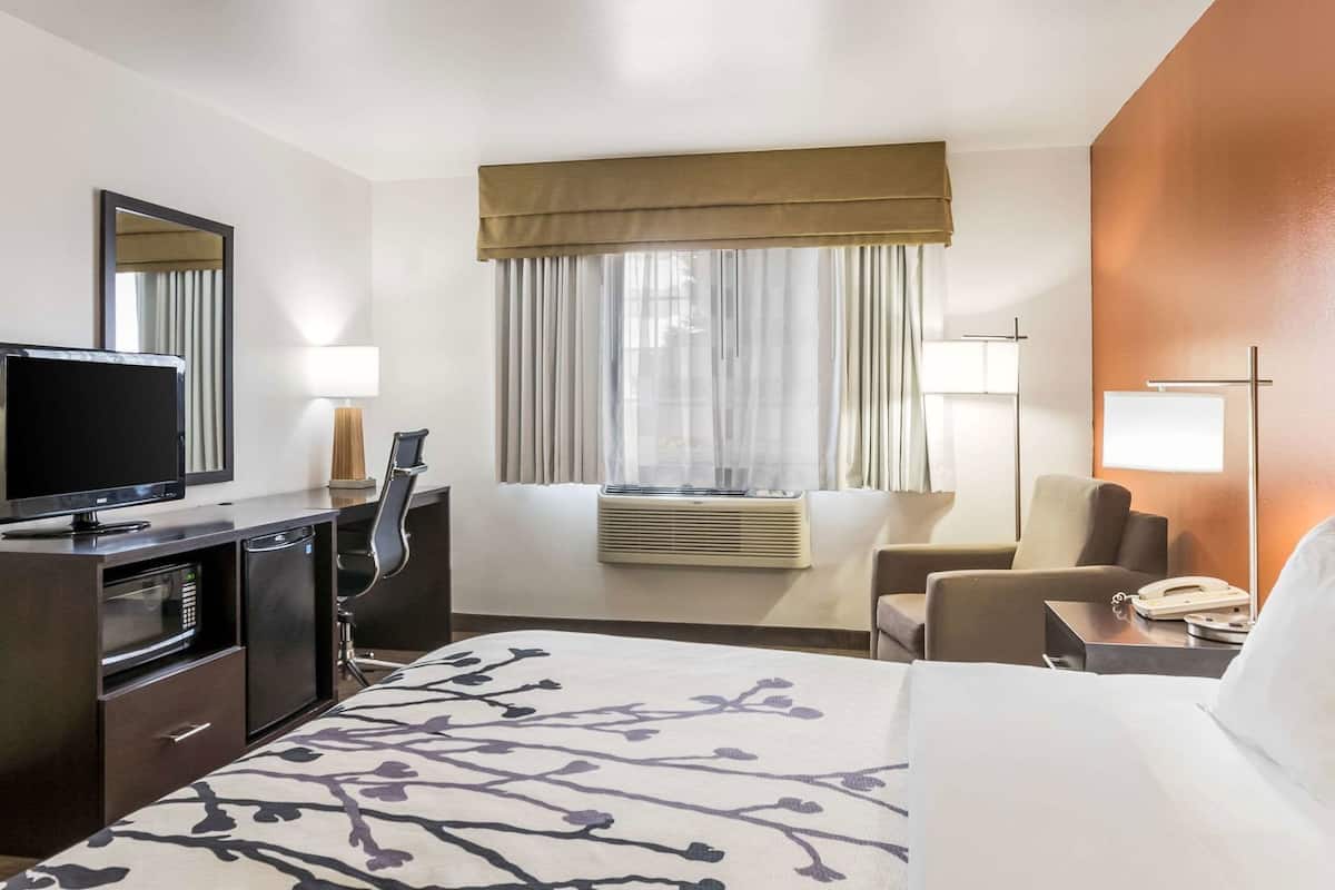 Hotelkamer met een bed, een bureau met een televisie, een stoel, een bureaulamp, een nachtkastje met een telefoon en een raam met gordijnen.