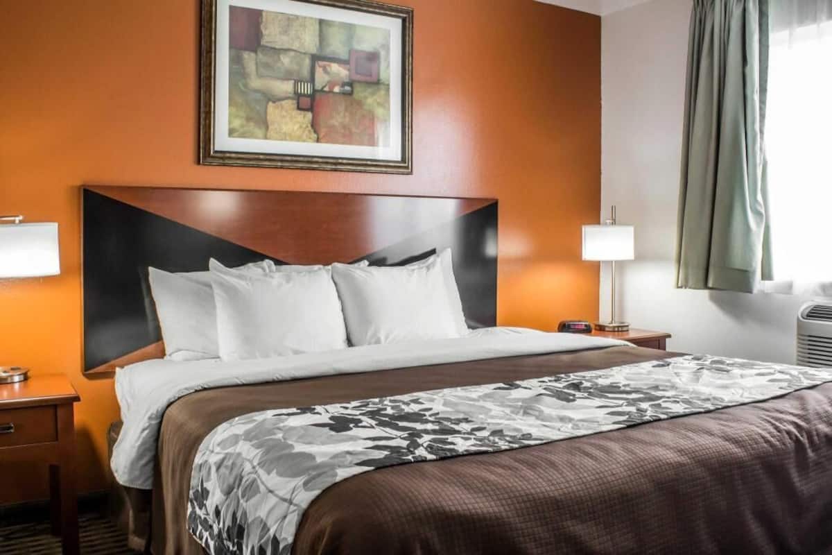 In-room safe, desk, iron/ironing board, free WiFi