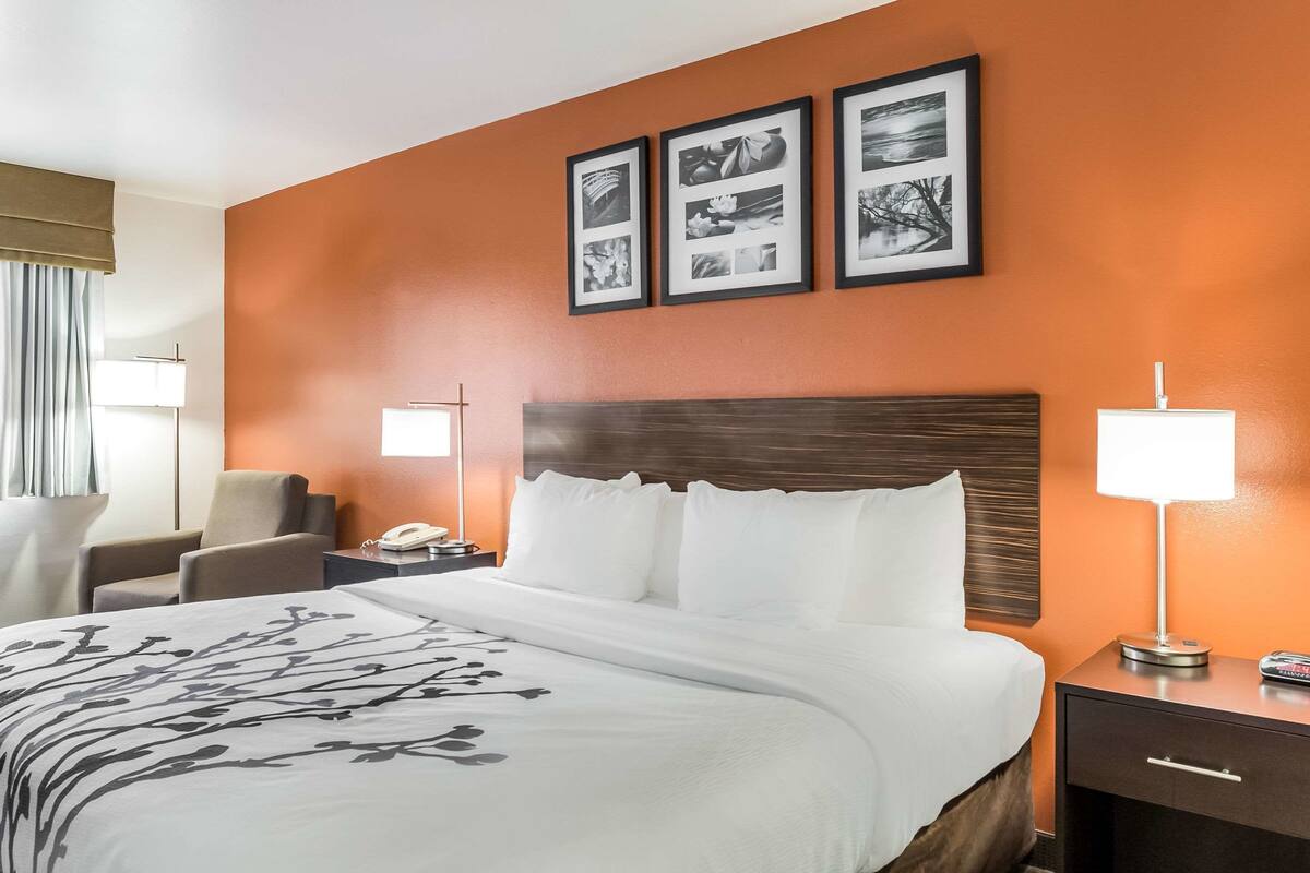 Kamer, 1 kingsize bed, niet-roken | Een kluis op de kamer, een bureau, een strijkplank/strijkijzer