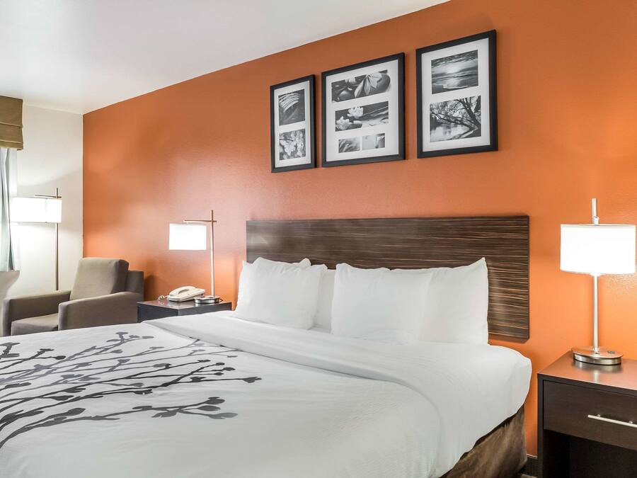 Rom, 1 kingsize-seng, ikke-røyk | Safe på rommet, skrivebord, strykejern/-brett og wi-fi (inkludert)