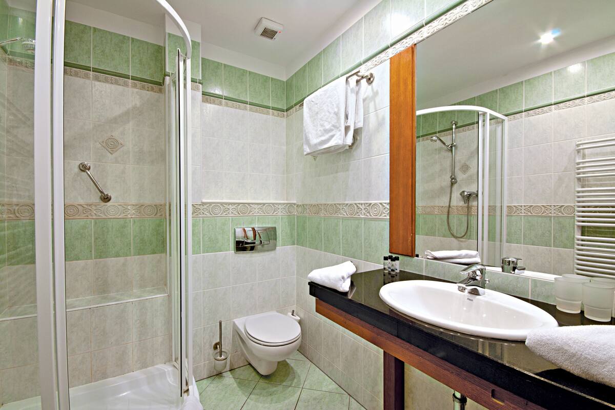 free toiletries, hair dryer, towels