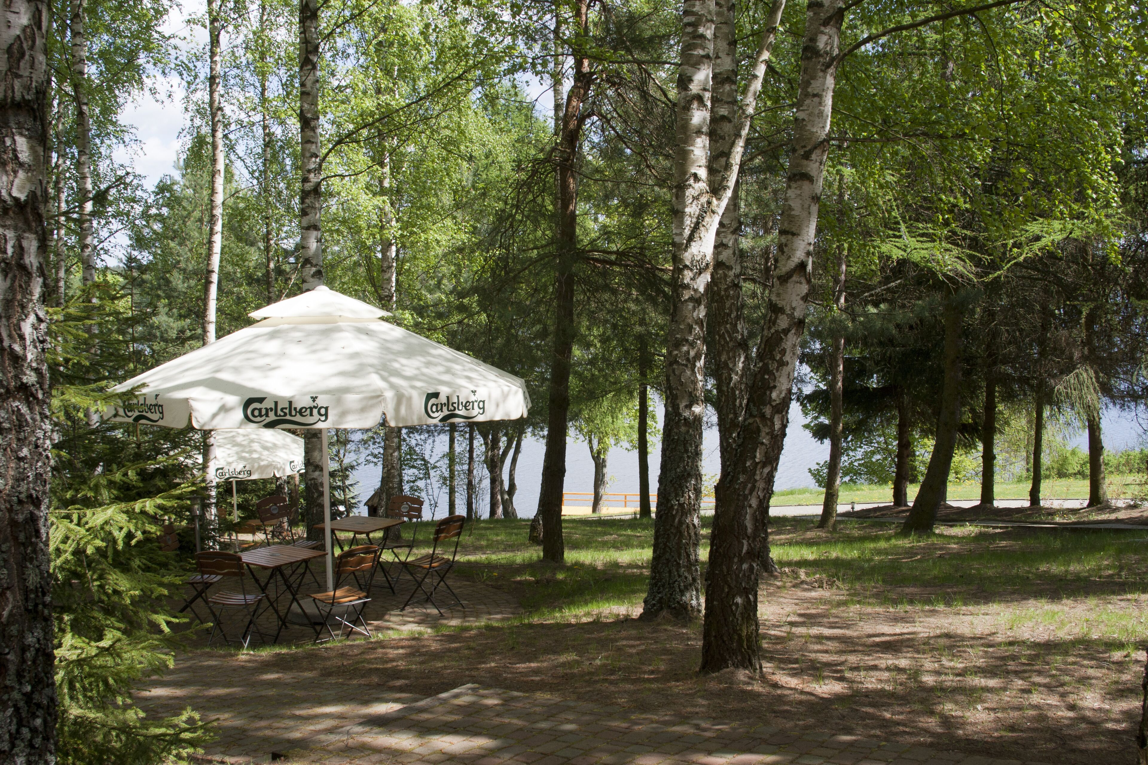 An outdoor seating area with tables and chairs under white umbrellas, surrounded by trees.