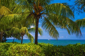 Exterior - Las Rocas Resort And Dive Center (Roatan)