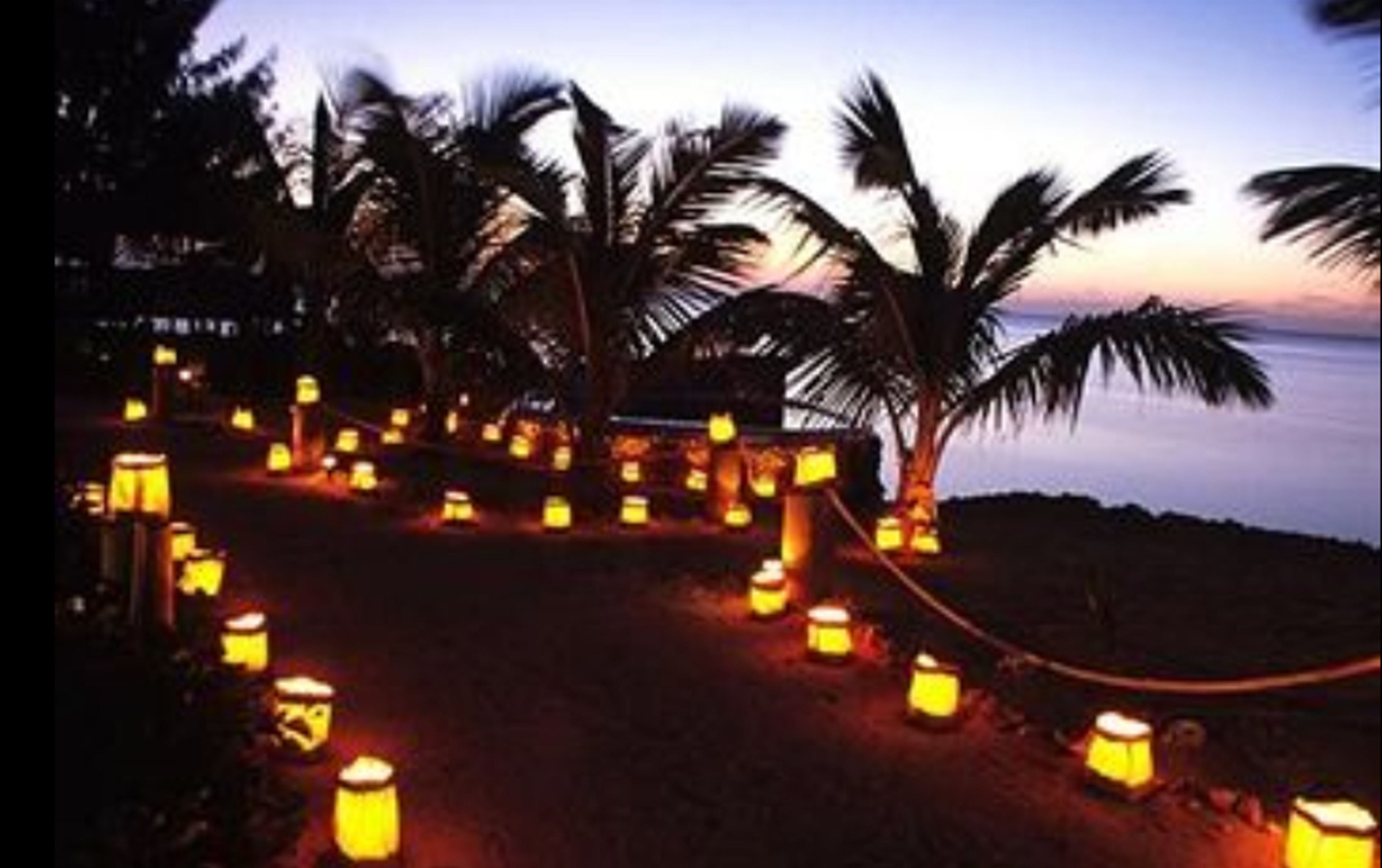 Paisaje de playa con palmeras y faroles iluminados.