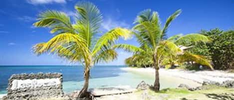 Plage, sable blanc, chaises longues, parasols