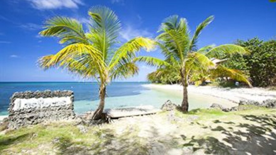 拉斯罗卡斯度假村及潜水中心