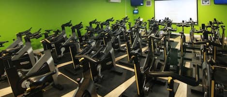 A gym with multiple stationary bikes arranged in rows.