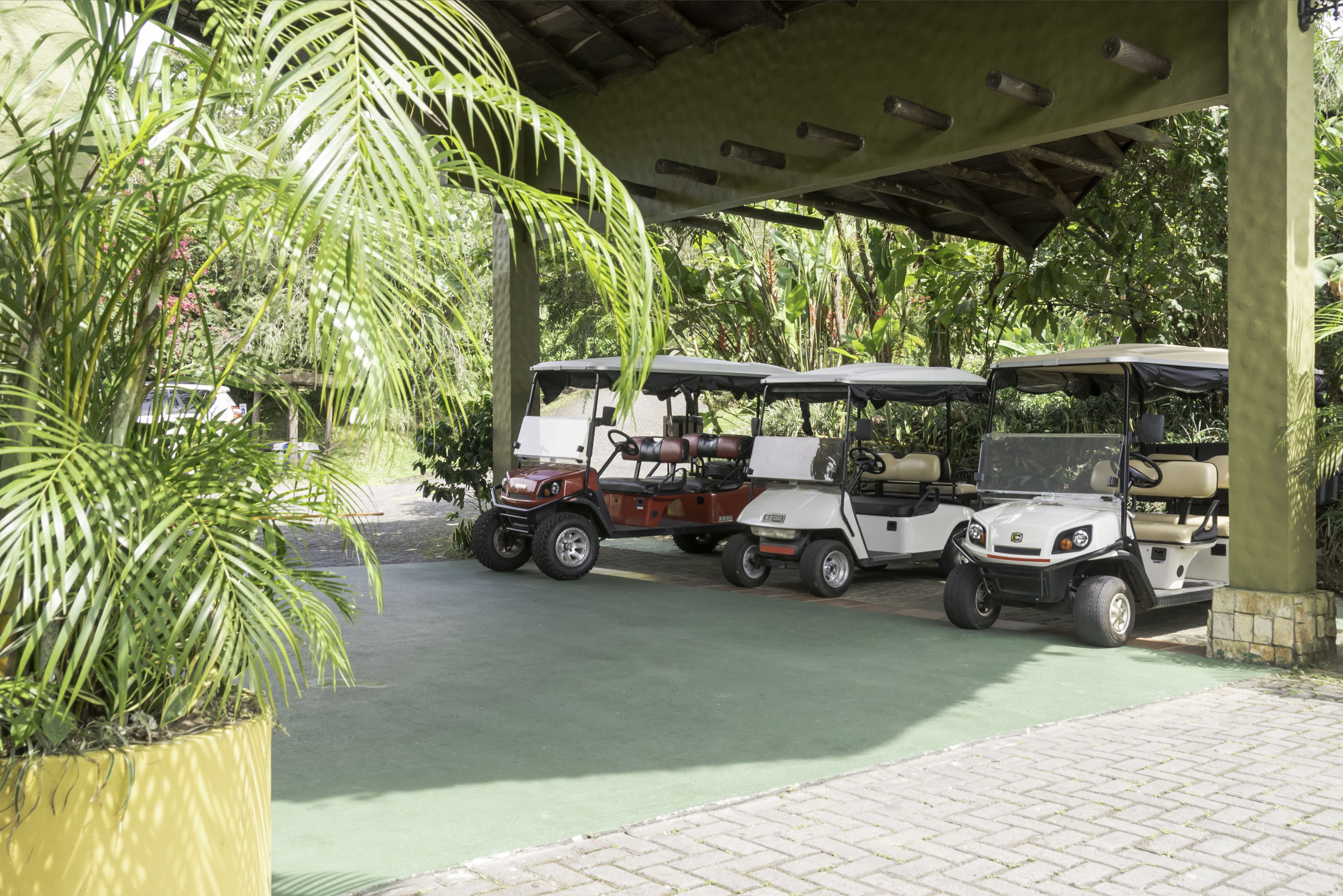 A covered parking area with golf carts and a potted plant.