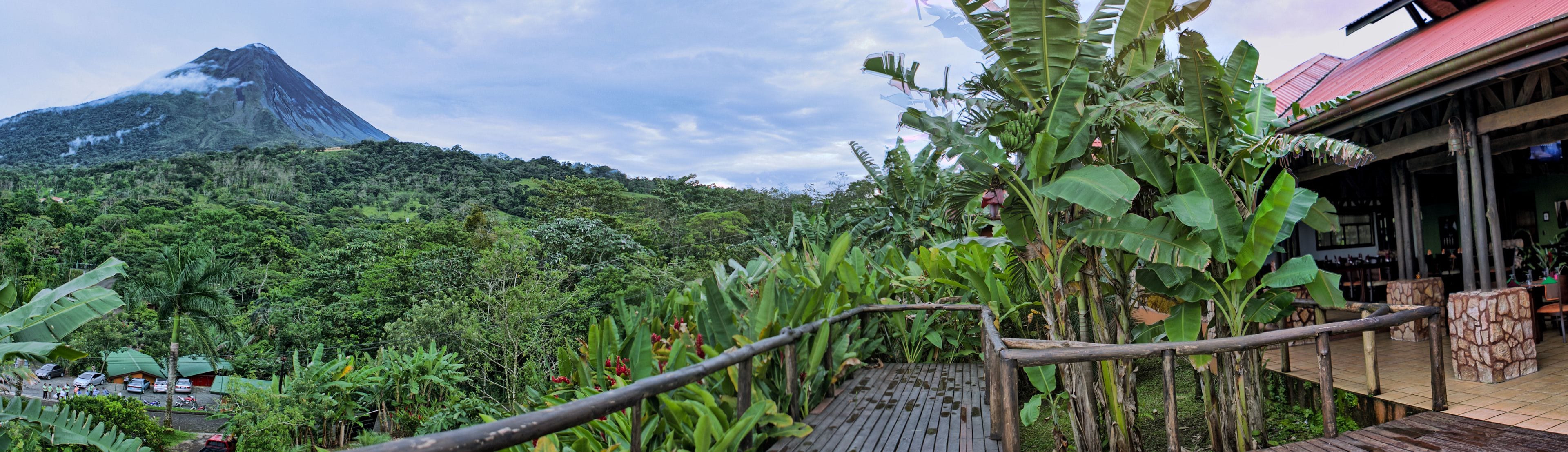 A lush garden with a wooden deck, a mountain in the background, and a building with a red roof.