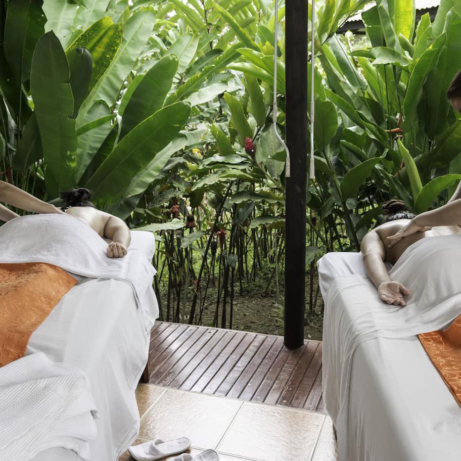 Couples treatment rooms, body treatments, mud baths, hydrotherapy