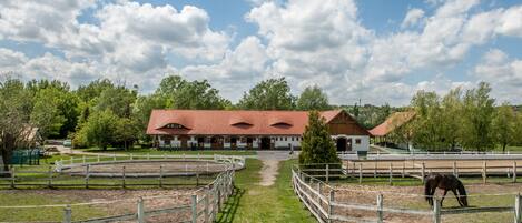 A stable with a red roof, surrounded by fenced paddocks and trees.