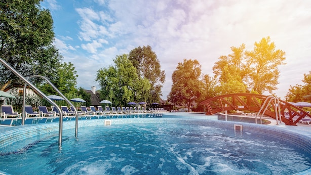Ein Swimmingpool mit Liegestühlen und Sonnenschirmen, umgeben von Bäumen.
