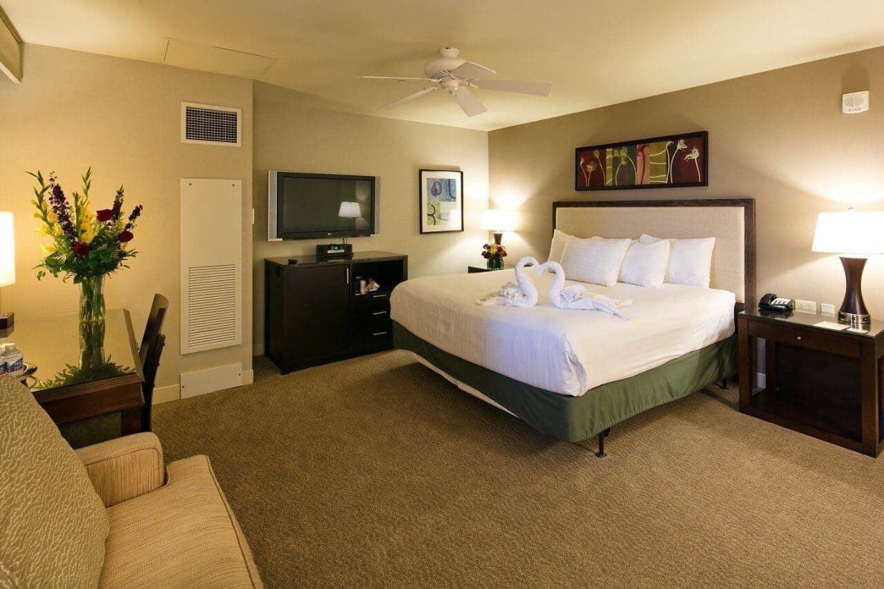 A hotel room with a bed, a television, a desk, a chair, and a vase of flowers.