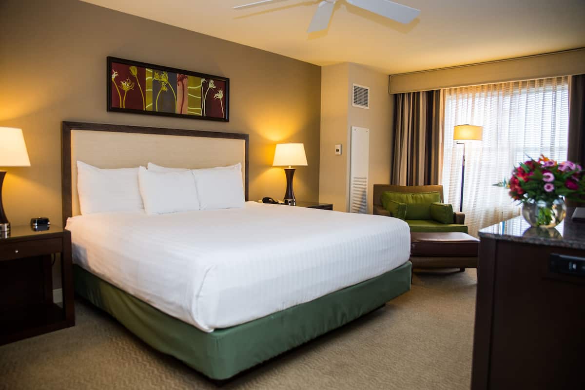 A hotel room with a large bed, two bedside tables with lamps, a green sofa, a desk with a lamp, and a window with curtains.