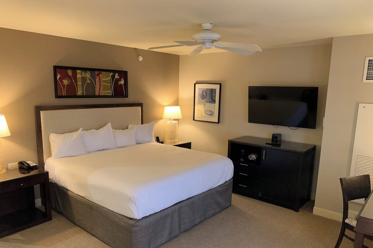 A hotel room with a large bed, a ceiling fan, a TV, a desk with a lamp, and artwork on the walls.