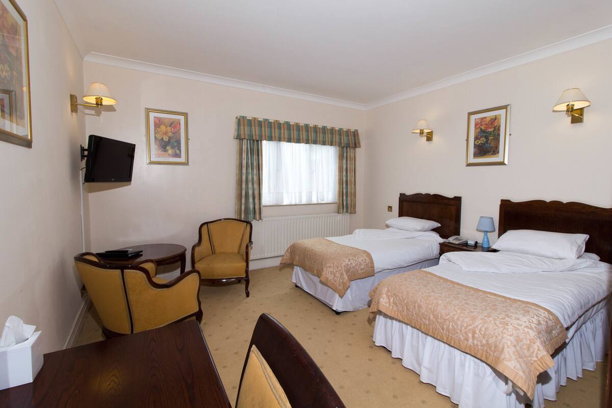 Twin Room | Iron/ironing board (on request), cribs (free), WiFi (free), bed sheets