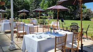 Garden - Hadlow Manor (Tonbridge)