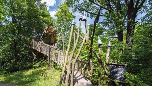 Un puente de madera con un refugio rústico, rodeado de exuberante vegetación y árboles.
