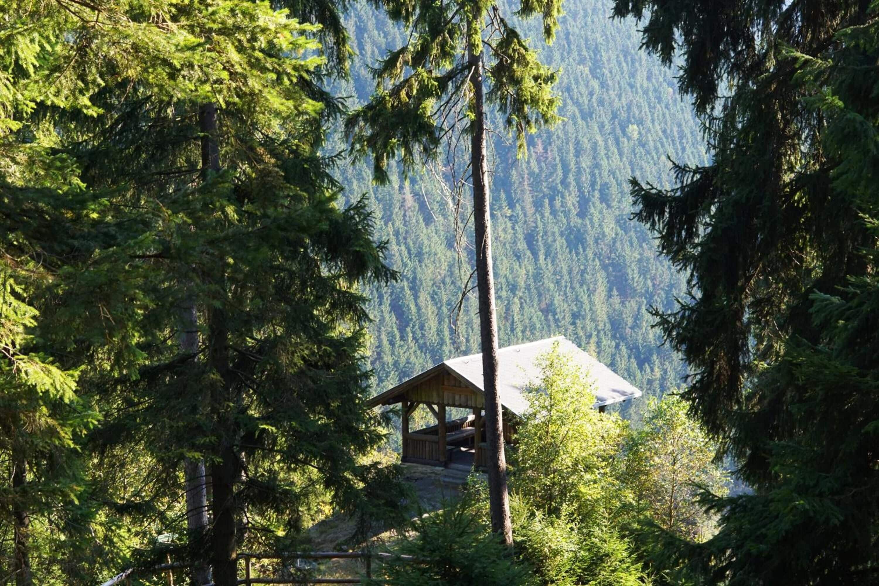 Un chalet rustique à la structure en bois et au toit en métal, entouré d’une forêt dense et avec des montagnes en arrière-plan.