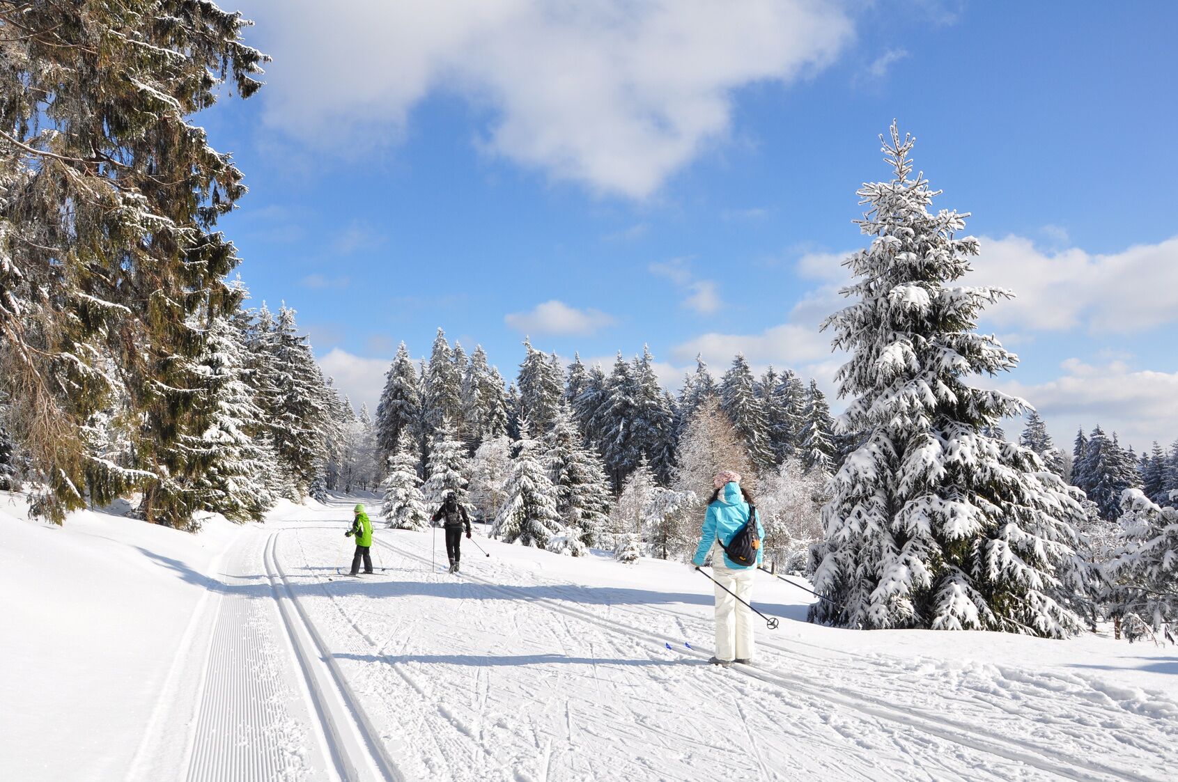 A snowy ski trail with trees on both sides.