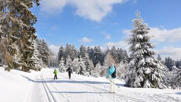 A snowy ski trail with trees on both sides.