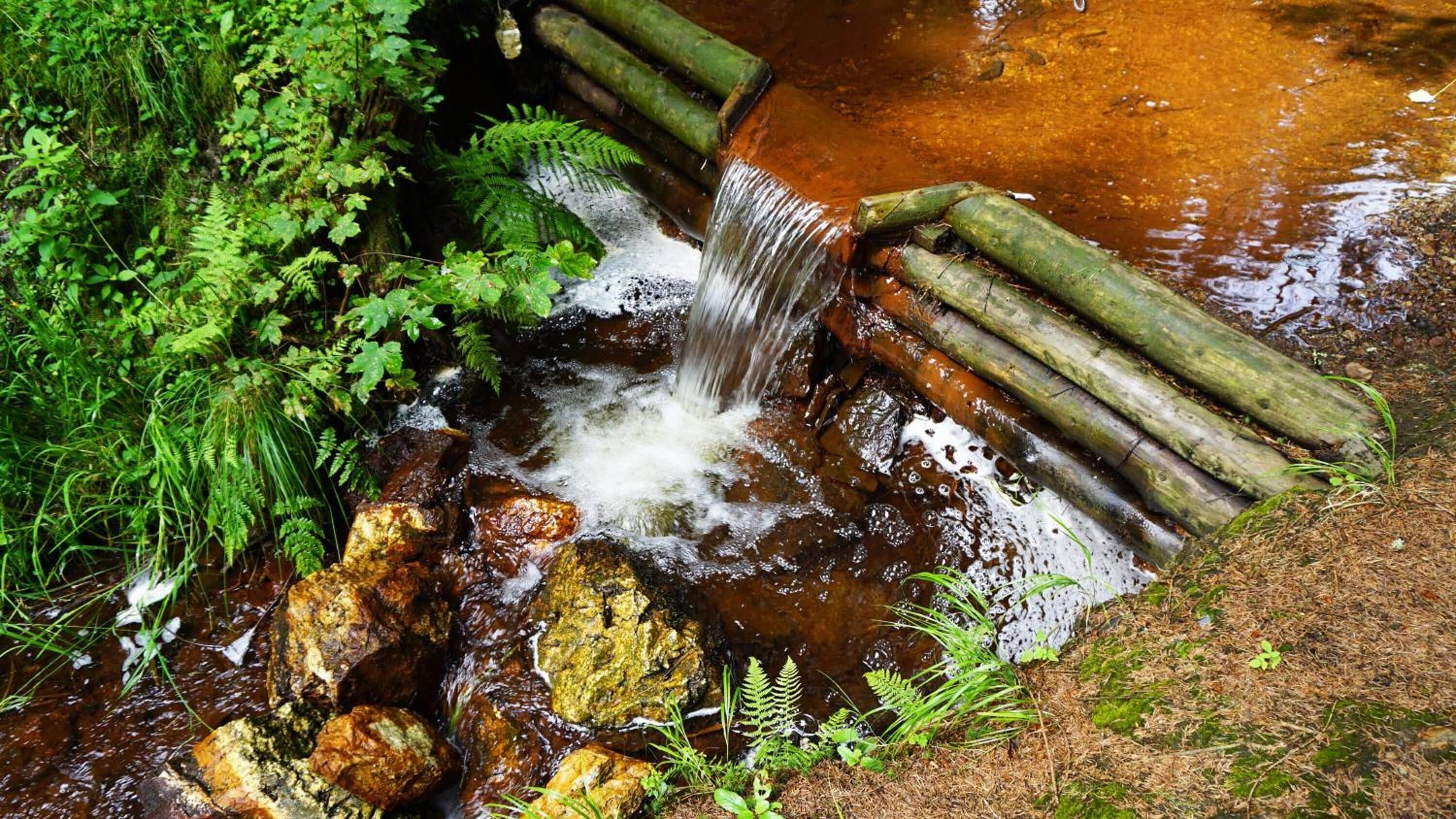 A small waterfall in a natural setting with rocks and ferns.