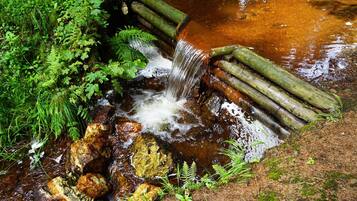 A small waterfall in a natural setting with rocks and ferns.