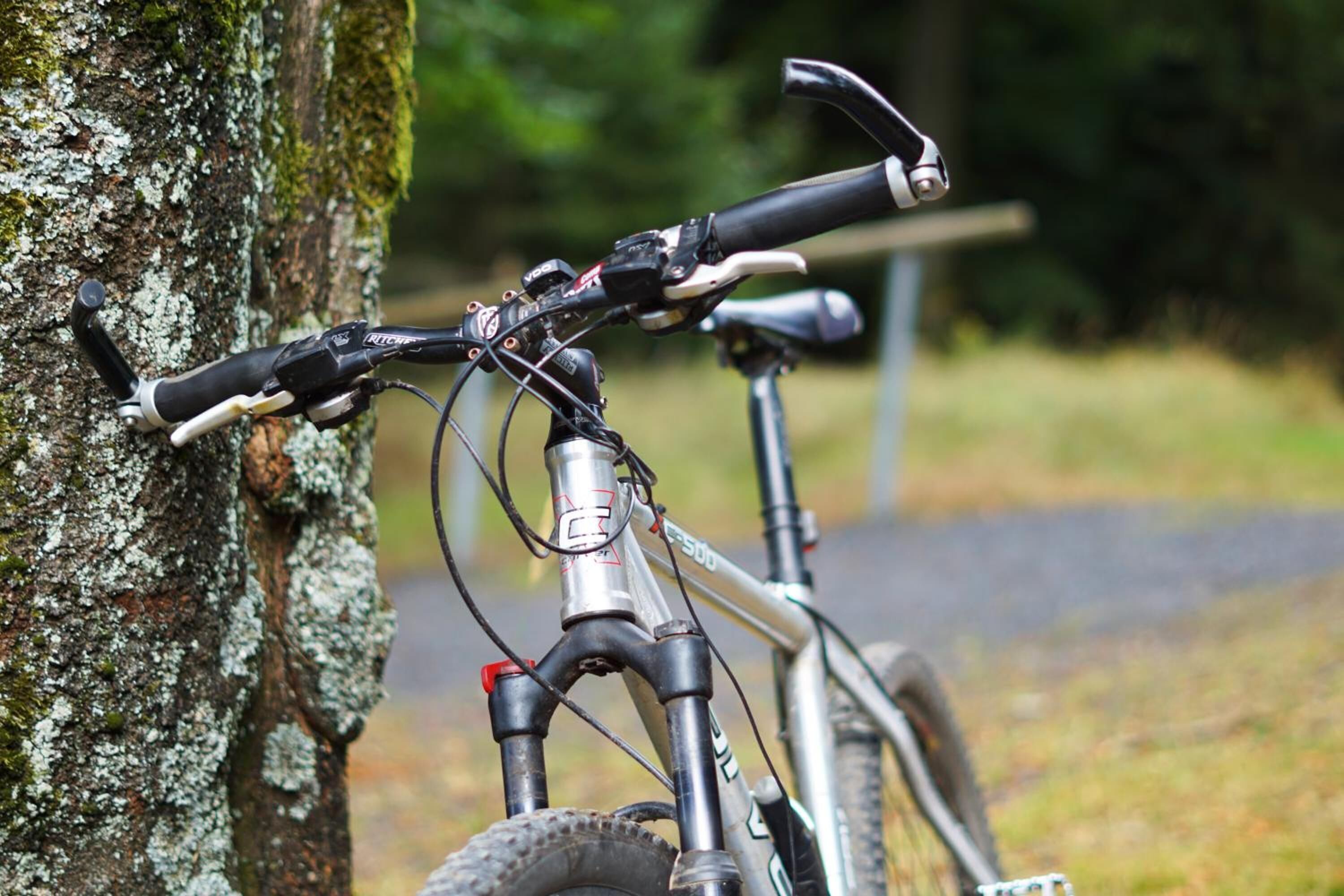 A mountain bike leaning against a tree with a blurred background of greenery.