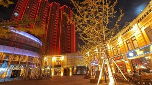 Exterior detail - LDF All Suites (Shanghai)